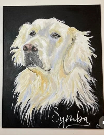 Simba (VENDU)