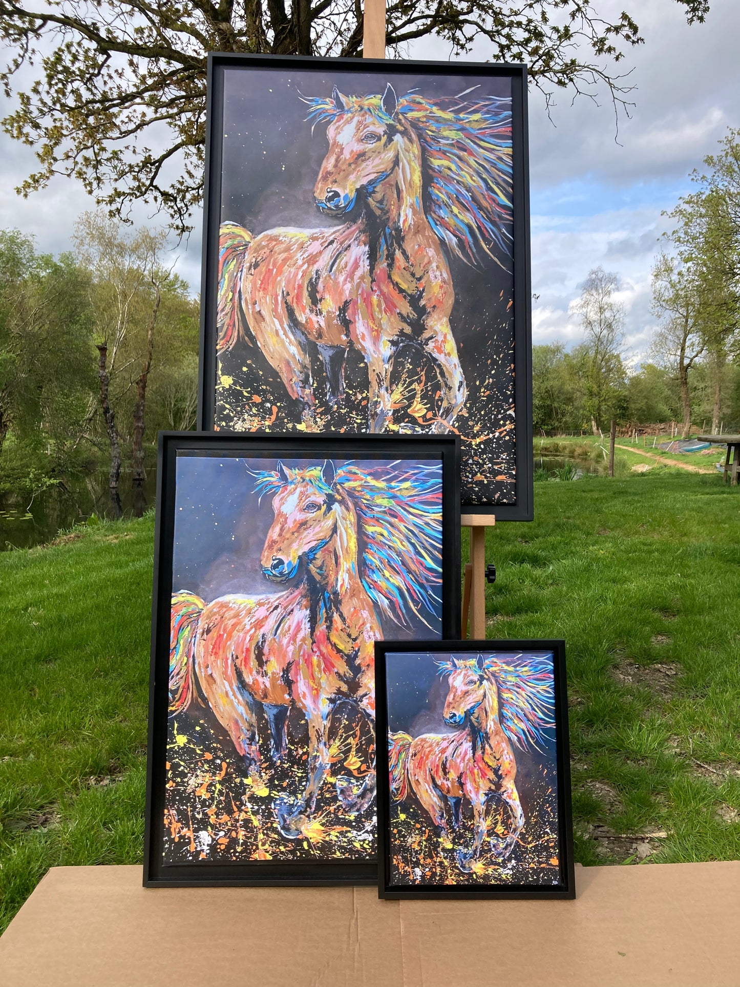 Tirages d’Art limité à 10 exemplaires